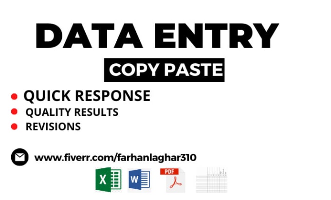 Gig Preview - Do data entry and copy paste