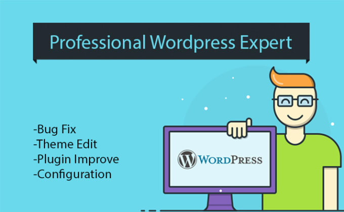 Gig Preview - Be your wordpress developer and bug fixer