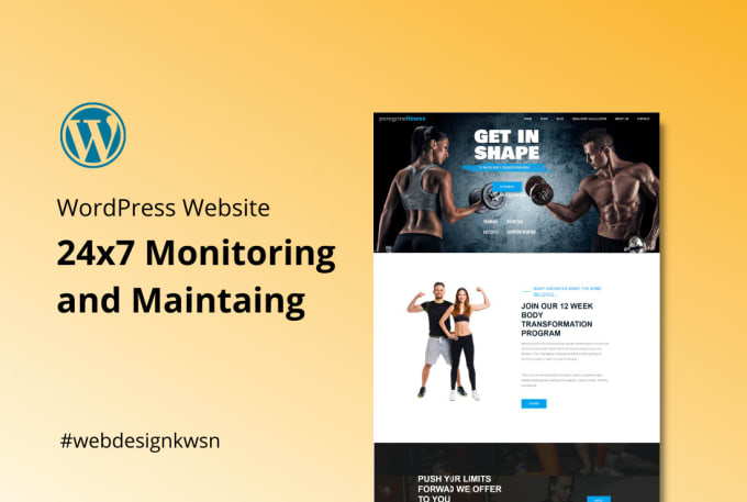 Gig Preview - Monitor and maintain your wordpress website