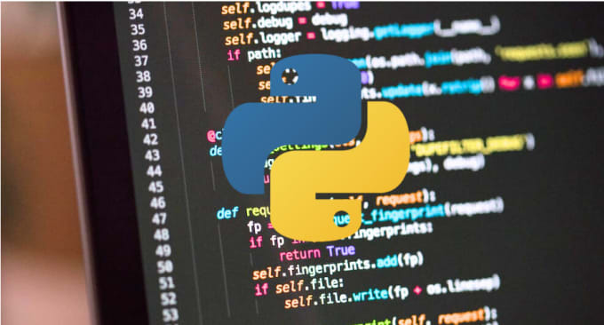 Gig Preview - Do your python projects