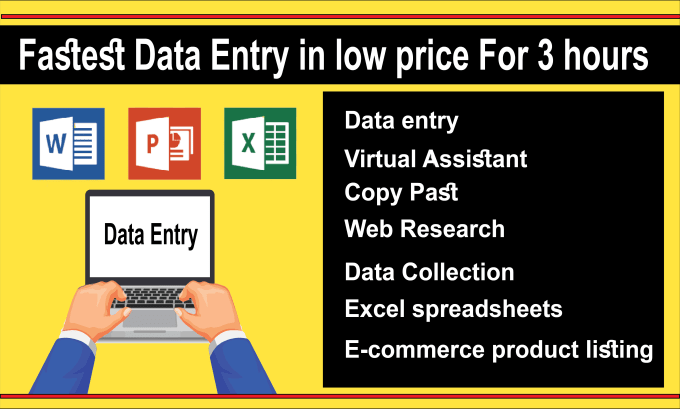 Gig Preview - Be your virtual assistant for fastest data entry in low price