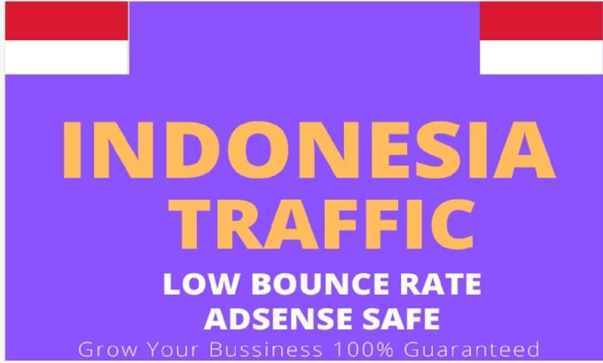 Gig Preview - Do indonesia and targete web traffic service for your website