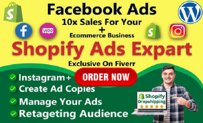 Gig Preview - Do facebook advertising, instagram marketing to grow your business sales