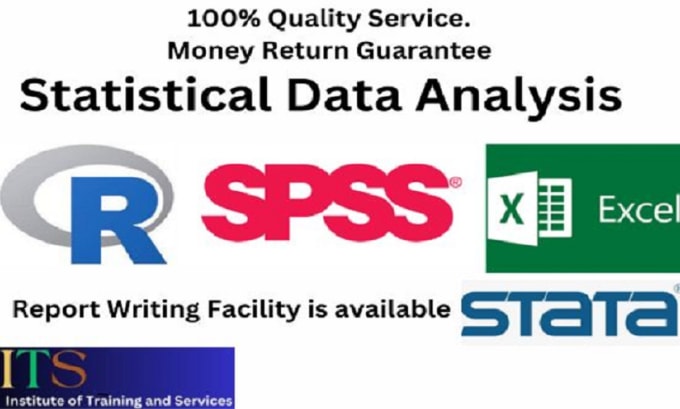 Gig Preview - Do statistical data analysis using jasp spss stata r excel