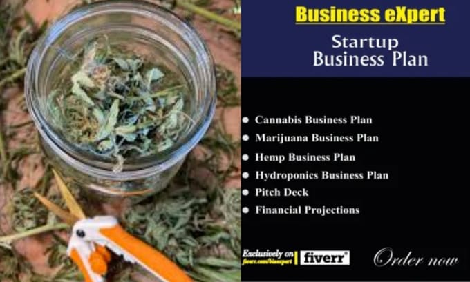 Gig Preview - Create a marijuana or cannabis business plan