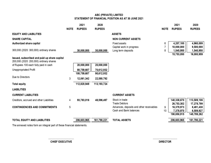 Gig Preview - Make profit and loss, balance sheet, cash flows, and other management reporting