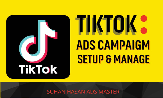 Gig Preview - Create tiktok ads campaign or tiktok ads manager specialist