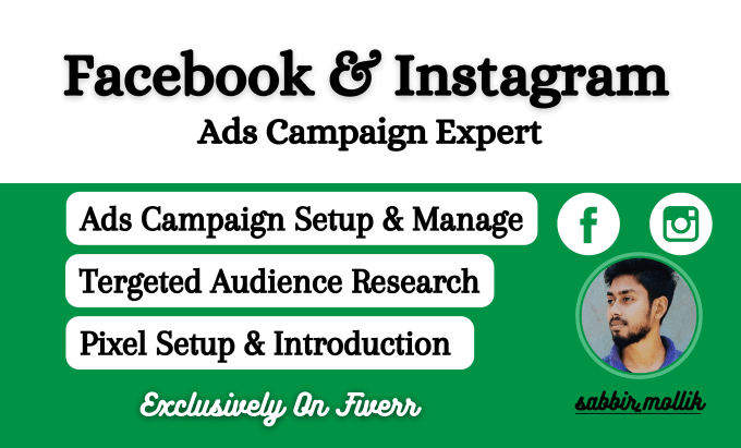 Gig Preview - Run facebook ads campaign and instagram ads campaign