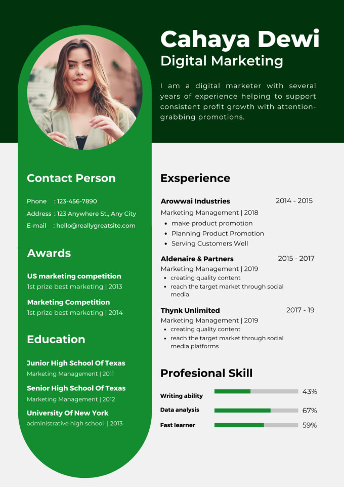 Gig Preview - Provide professional resume writing and edit CV services