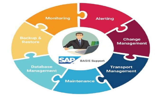 Gig Preview - Expertly troubleshoot and fix your sap basis issues