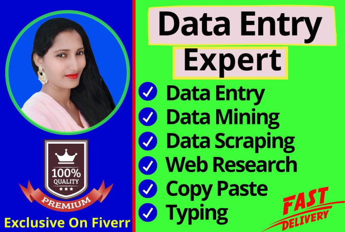 Gig Preview - Do any type of data entry, web scraping research copy paste work