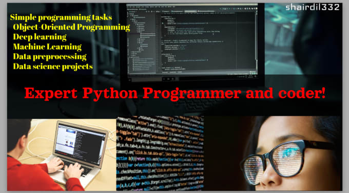 Gig Preview - Be your expert python coder and  programmer