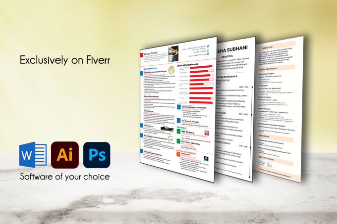 Gig Preview - Design professional CV and resume in docs, canva or ms word