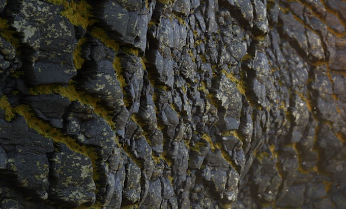 Gig Preview - Create textures and materials in substance designer