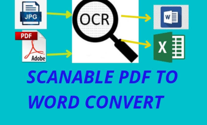 Gig Preview - Convert scan pdf to ms word or excel file