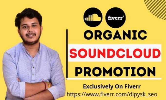 Gig Preview - Do targeted organic soundcloud promo music promotion