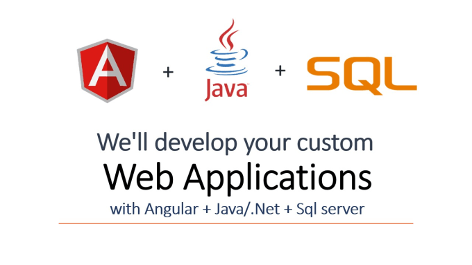 Gig Preview - Develop your web application with angular