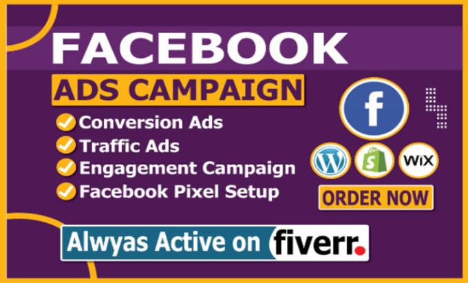 Gig Preview - Run facebook ads campaign instagram marketing  shopify fb ad manage to advertise