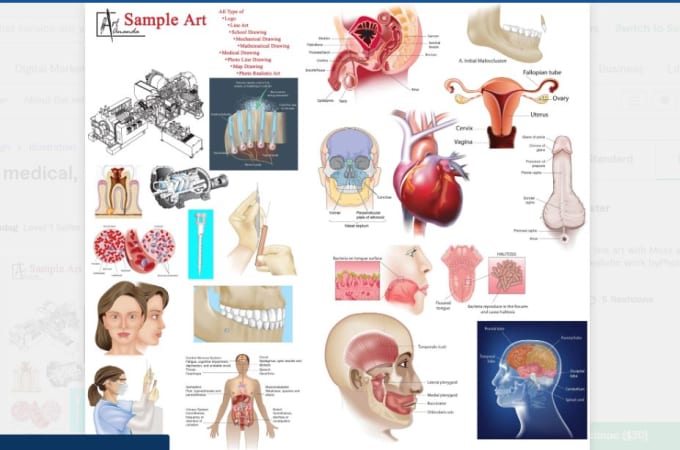 Gig Preview - Do medical and biology illustrations