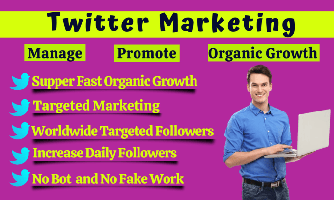 Gig Preview - Do twitter promotion or organic growth with real followers