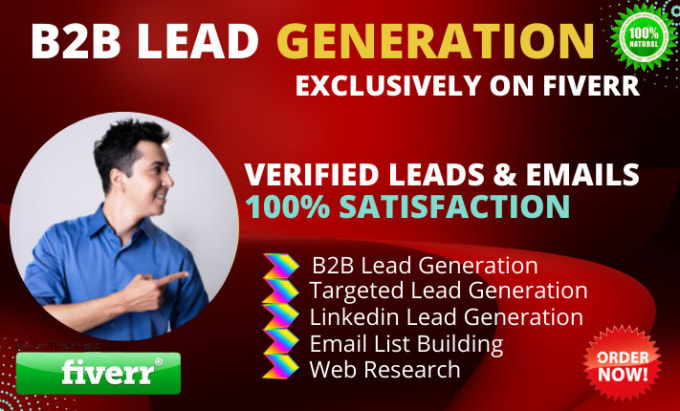 Gig Preview - Do perfect b2b lead generation and email list building