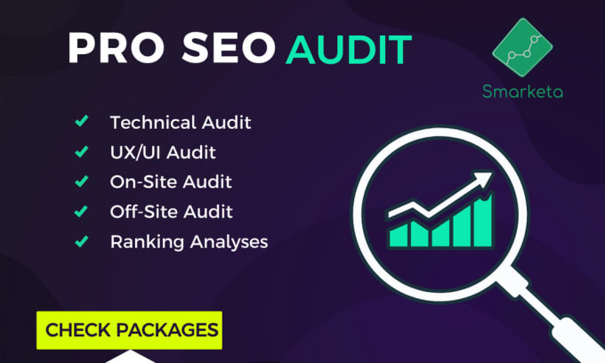 Gig Preview - Our agency will provide a website SEO audit report