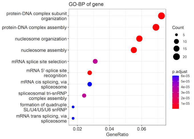 Gig Preview - Gene enrichment analysis with bar and bubble plots using r programming