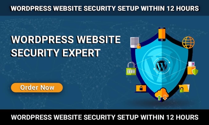 Gig Preview - Secure your wordpress website within 12 hours