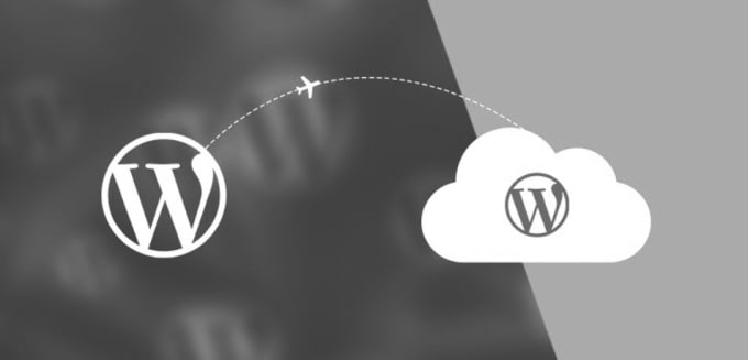 Gig Preview - Do wordpress website migration, move website