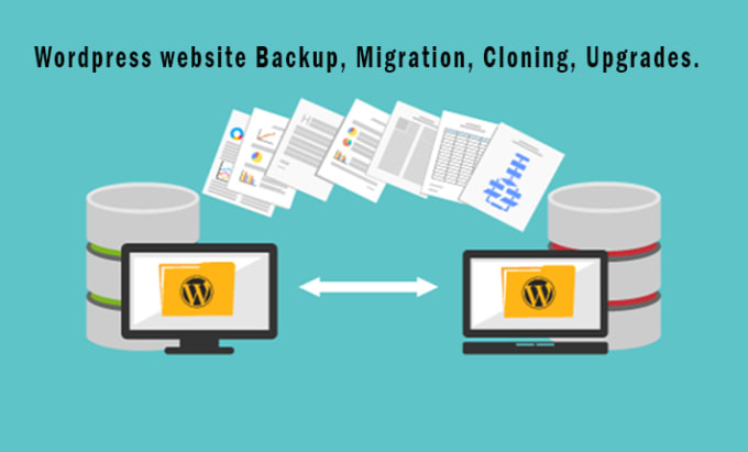 Gig Preview - Migrate, clone, and fix technical issues in your wordpress website