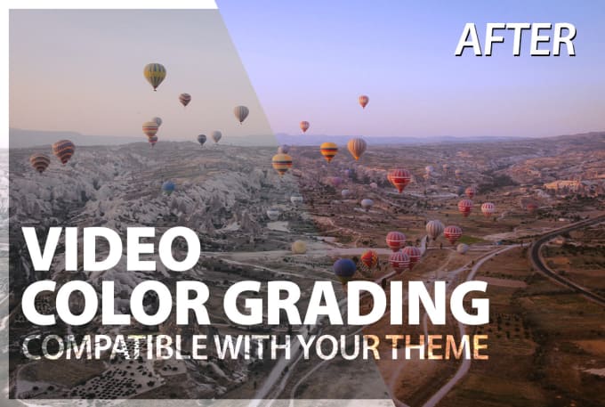 Gig Preview - Recolor your raw videos