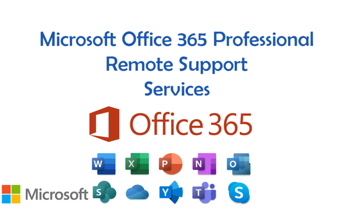 Gig Preview - Provide office 365 administration or consultation services remotely