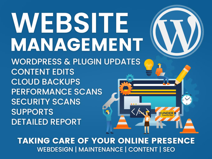 Gig Preview - Provide maintenance and support for your wordpress website