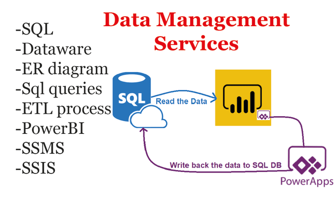 Gig Preview - Do data management, sql database, sql query, er diagram