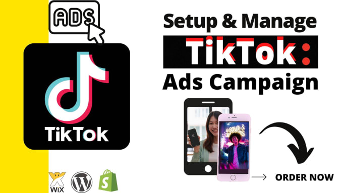 Gig Preview - Run and manage tiktok ads tiktok ads campaign for your brand