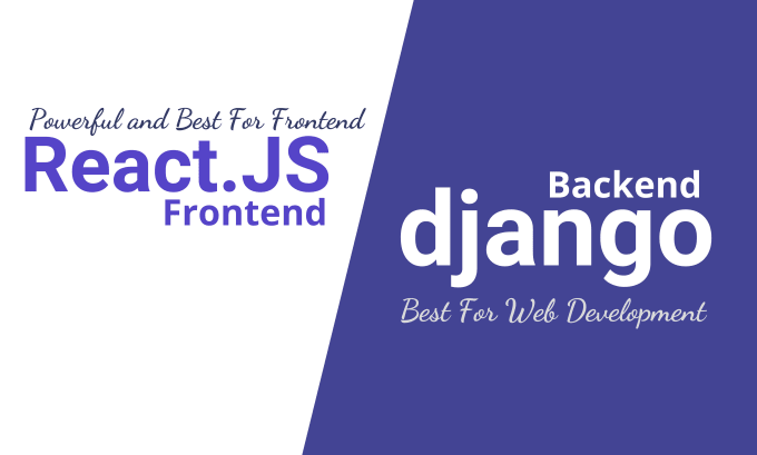 Gig Preview - Develop professional looking django and react websites