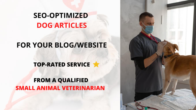 Gig Preview - Write high quality SEO dog articles for your website