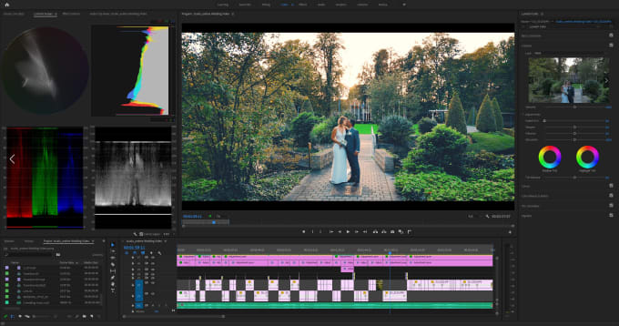 Gig Preview - Do cinematic wedding video editing and storytelling