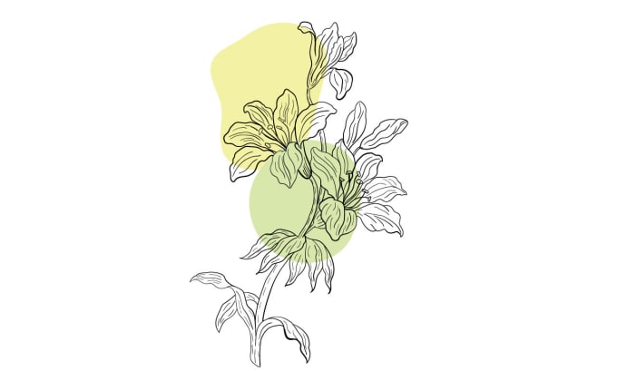 Gig Preview - Make a hand drawn botanical illustration, floral illustration