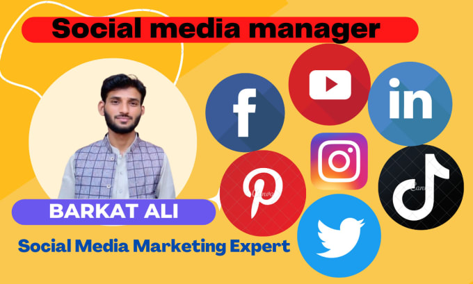 Gig Preview - Be social media marketing manager expert content creator