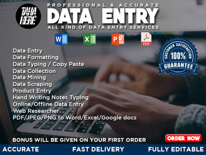 Gig Preview - Accurate data entry, converting PDF to word or excel