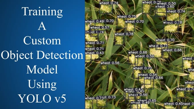 Gig Preview - Do computer vision projects step by step for data custom