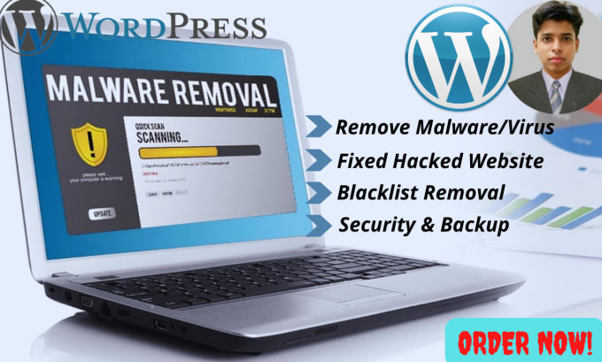 Gig Preview - Do remove malware, upgrade security of your wordpress site