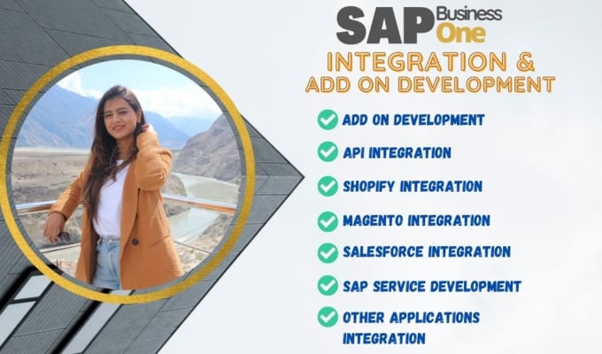 Gig Preview - Integrate and develop an add on for sap b1