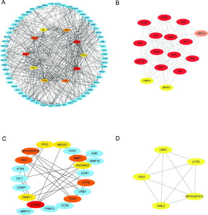 Gig Preview - Protein protein interaction and hub gene analysis specialist