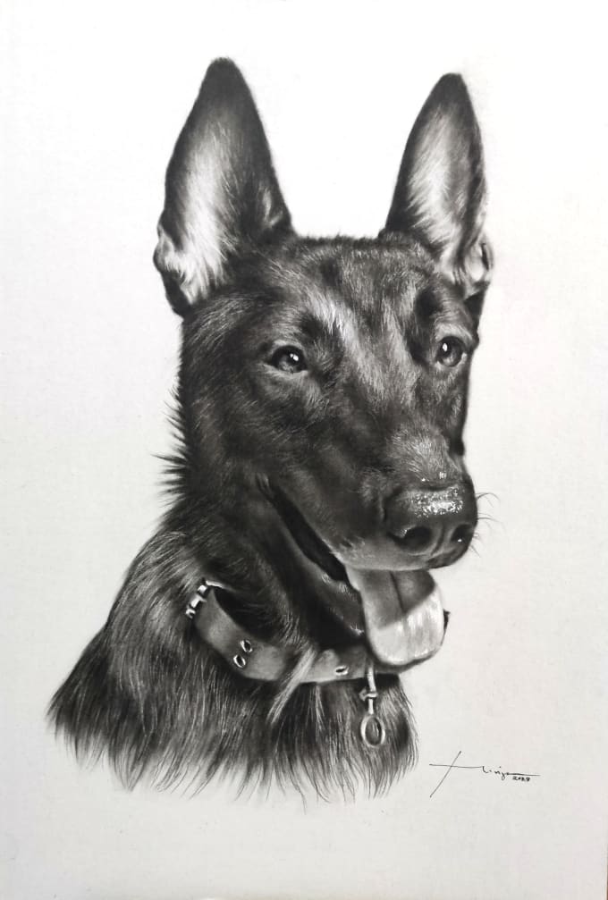 Gig Preview - Draw realistic pencil sketch pet portrait from a photo