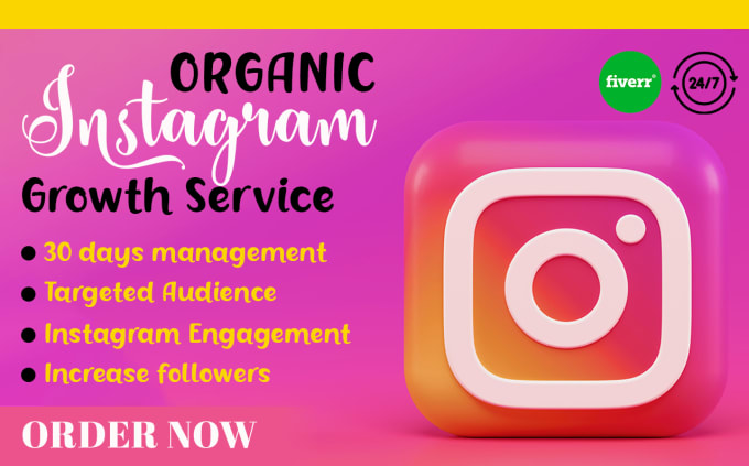 Gig Preview - Manage and promote your instagram to grow organically