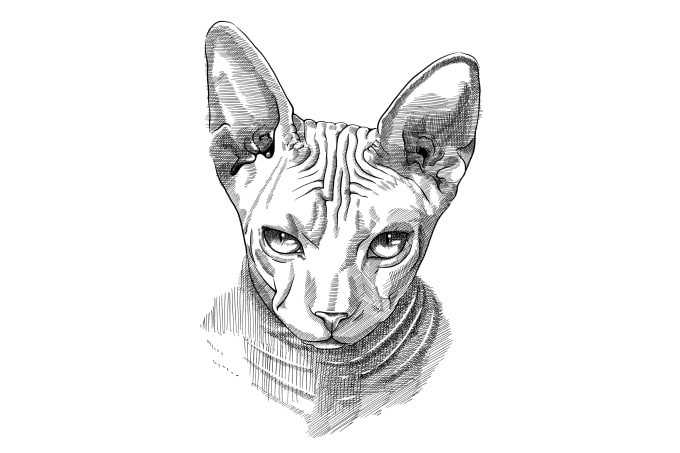 Gig Preview - Create crosshatch line art for animal or pets