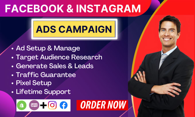 Gig Preview - Setup and manage your facebook and instagram ads campaign