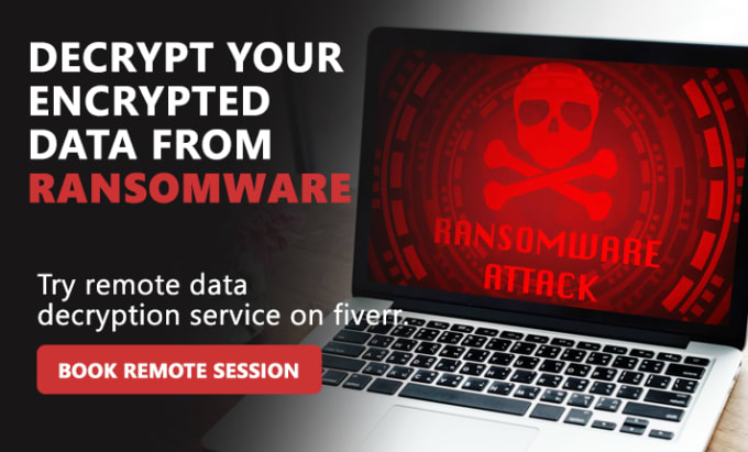 Gig Preview - Decrypt your ransomware photos and videos